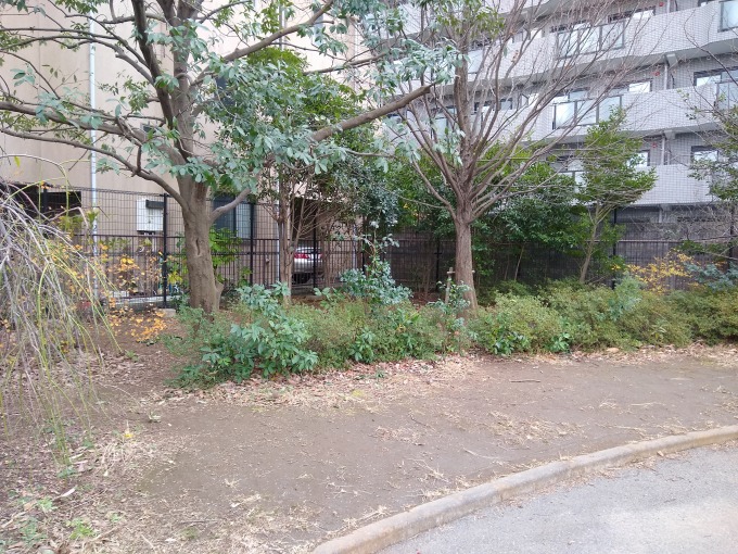 樽町しょうぶ公園