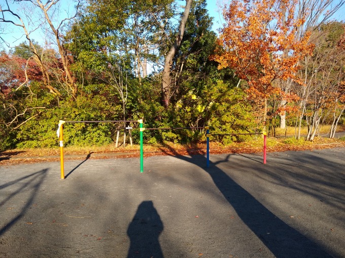 綱島公園鉄棒