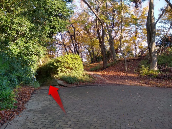 綱島公園モッキー奥出入口