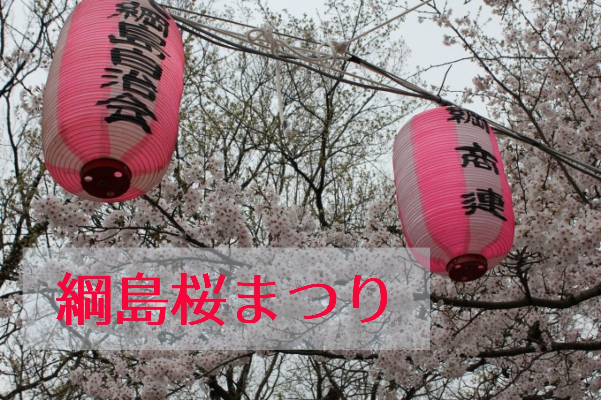 綱島公園桜まつり
