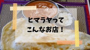 綱島駅前インドカレーのヒマラヤ 巨大ナンとおかわり自由に大満足