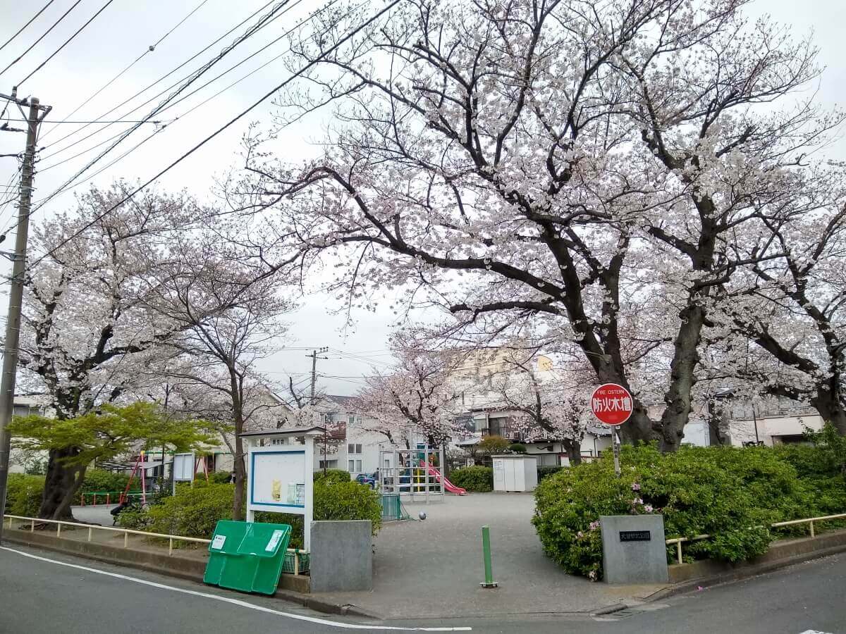 大曽根北公園の桜