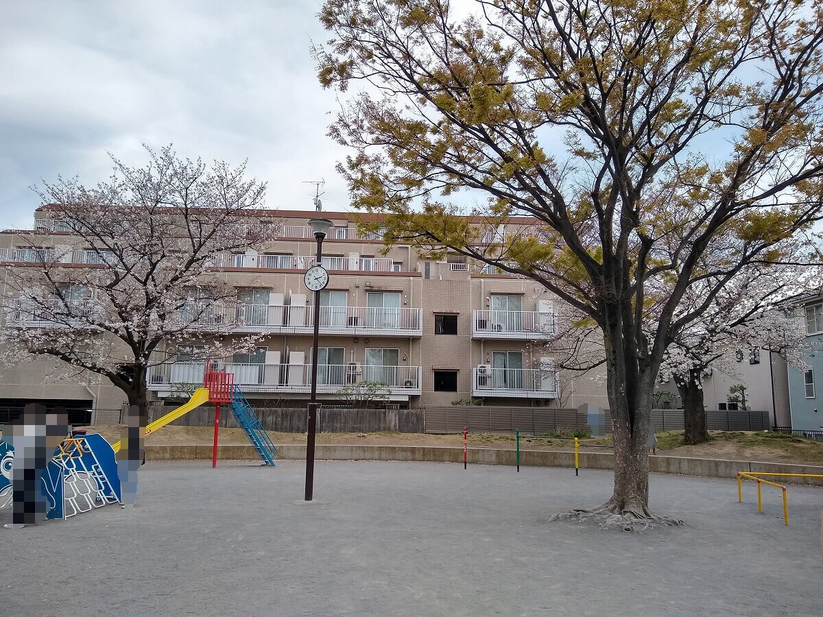 綱島東3丁目公園の桜