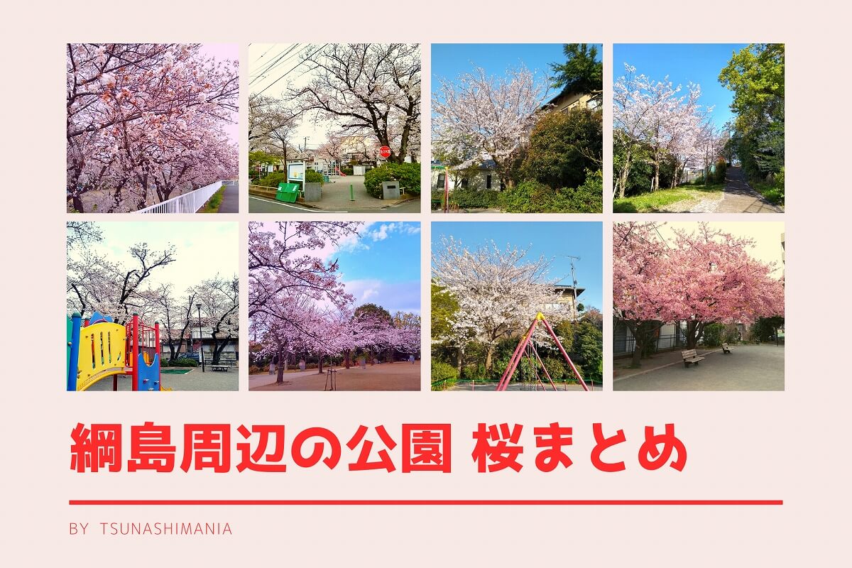 綱島の桜まとめ
