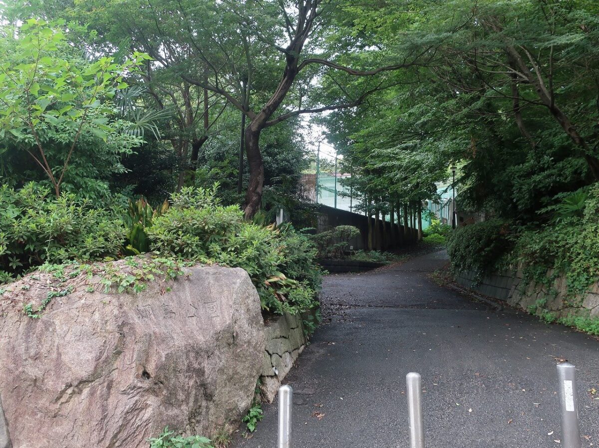 綱島公園