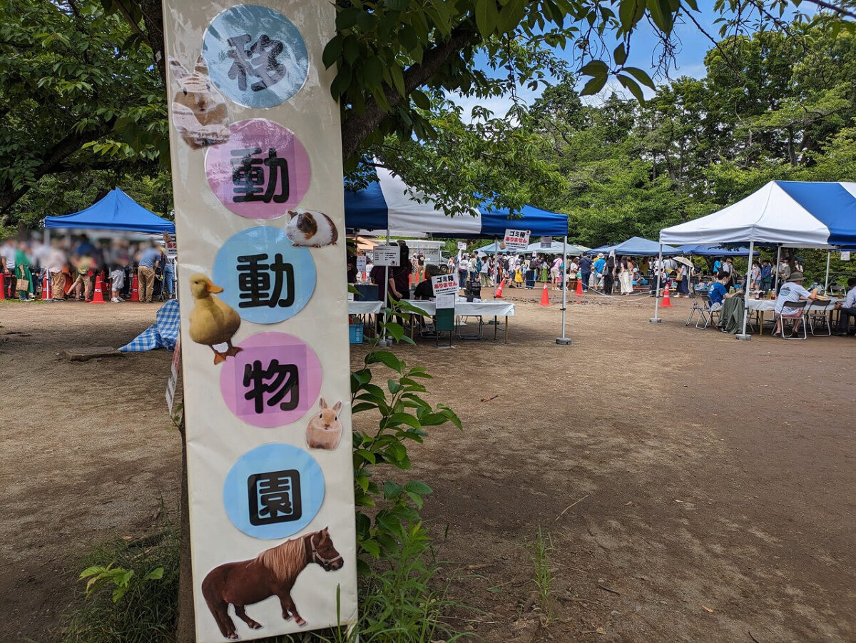 綱島公園移動動物園2024年6月