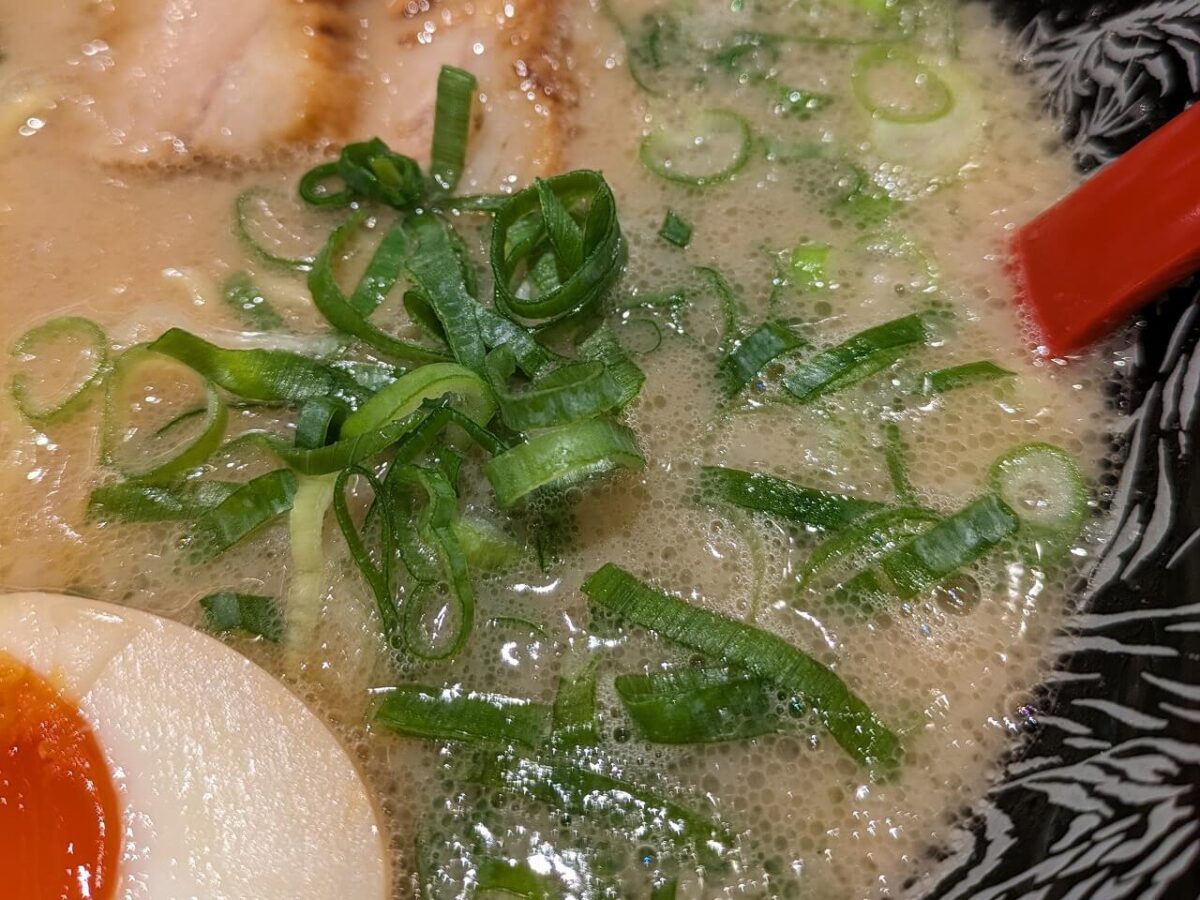 ずんどう屋綱島店味玉ラーメン（ちぢれ麺