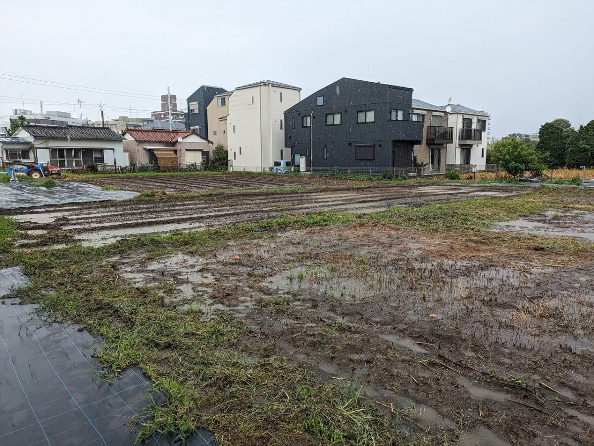 シェア畑綱島