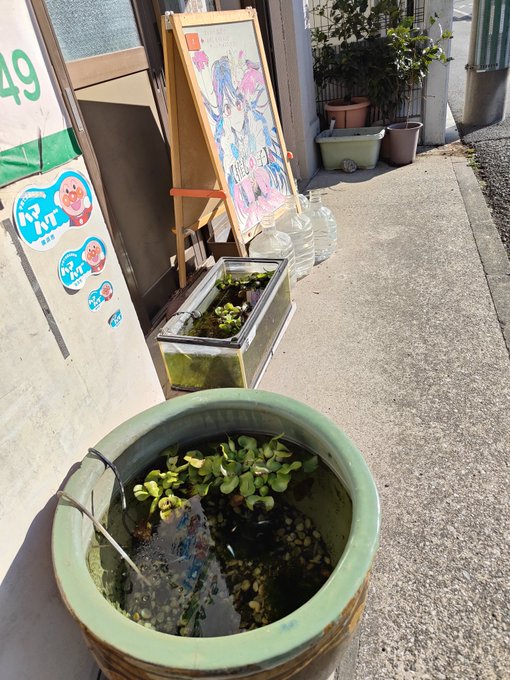 たるまち接骨院(めだか)