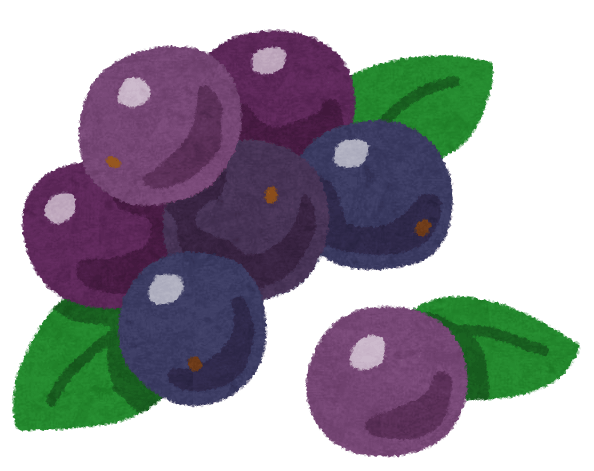 アサイーイラスト