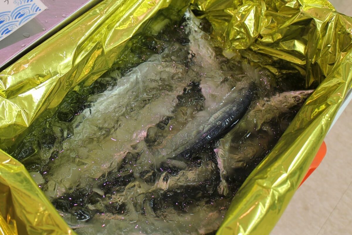 つなしまデポーリニューアル前店内の様子（鮮魚コーナー）