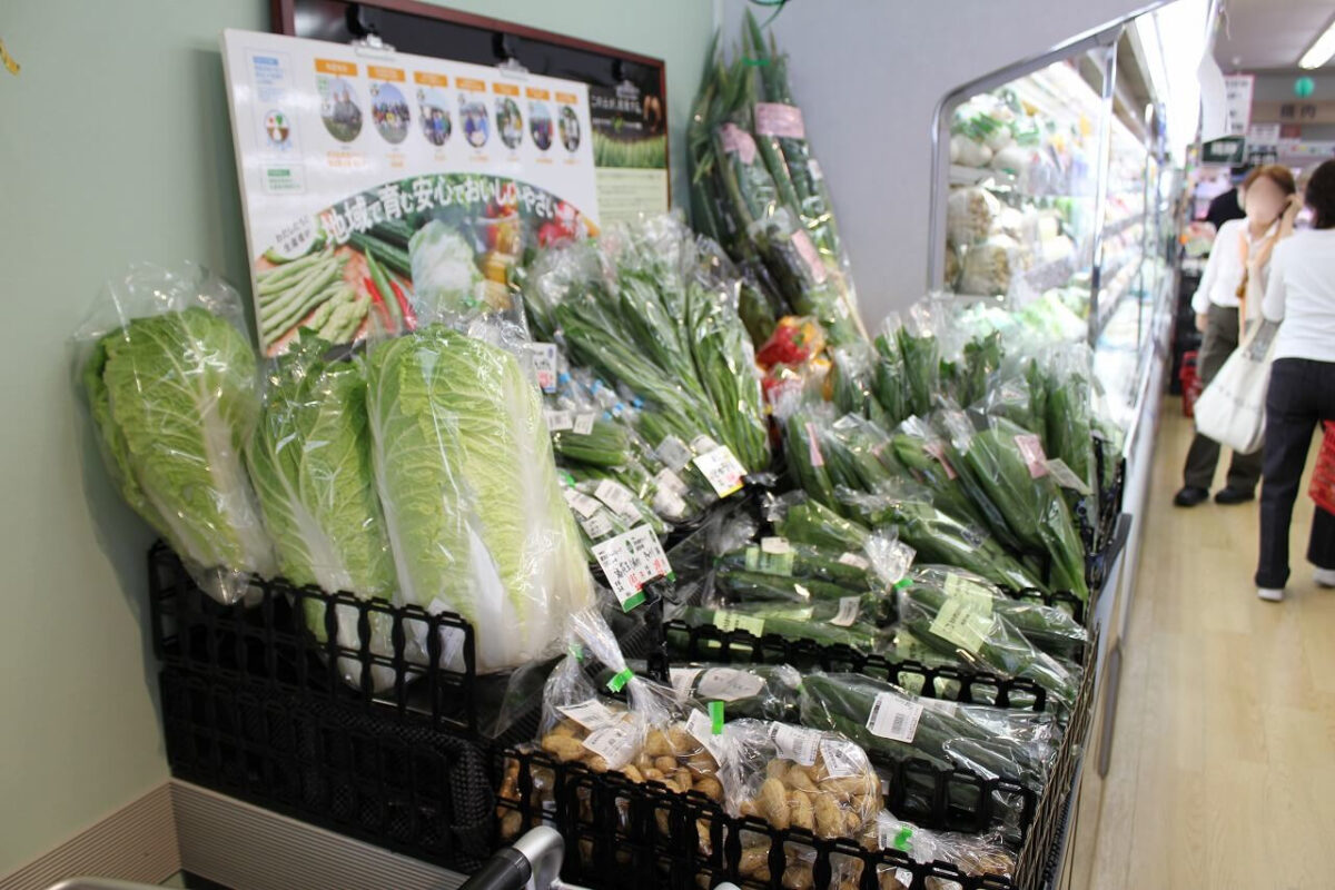 綱島デポーリニューアル当日