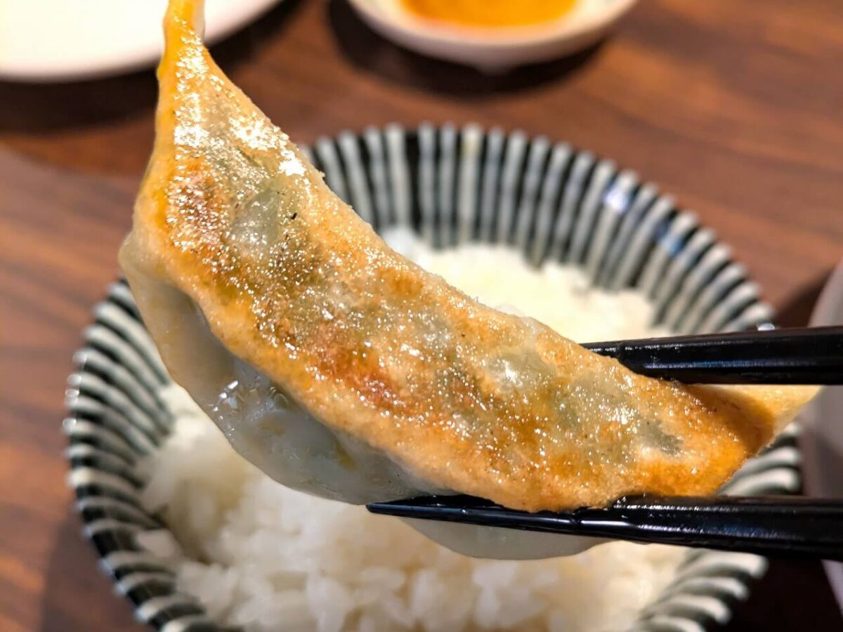 辣妹子 綱島店(餃子)