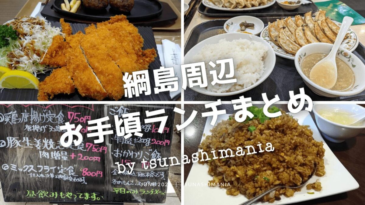 綱島の安いランチまとめ
