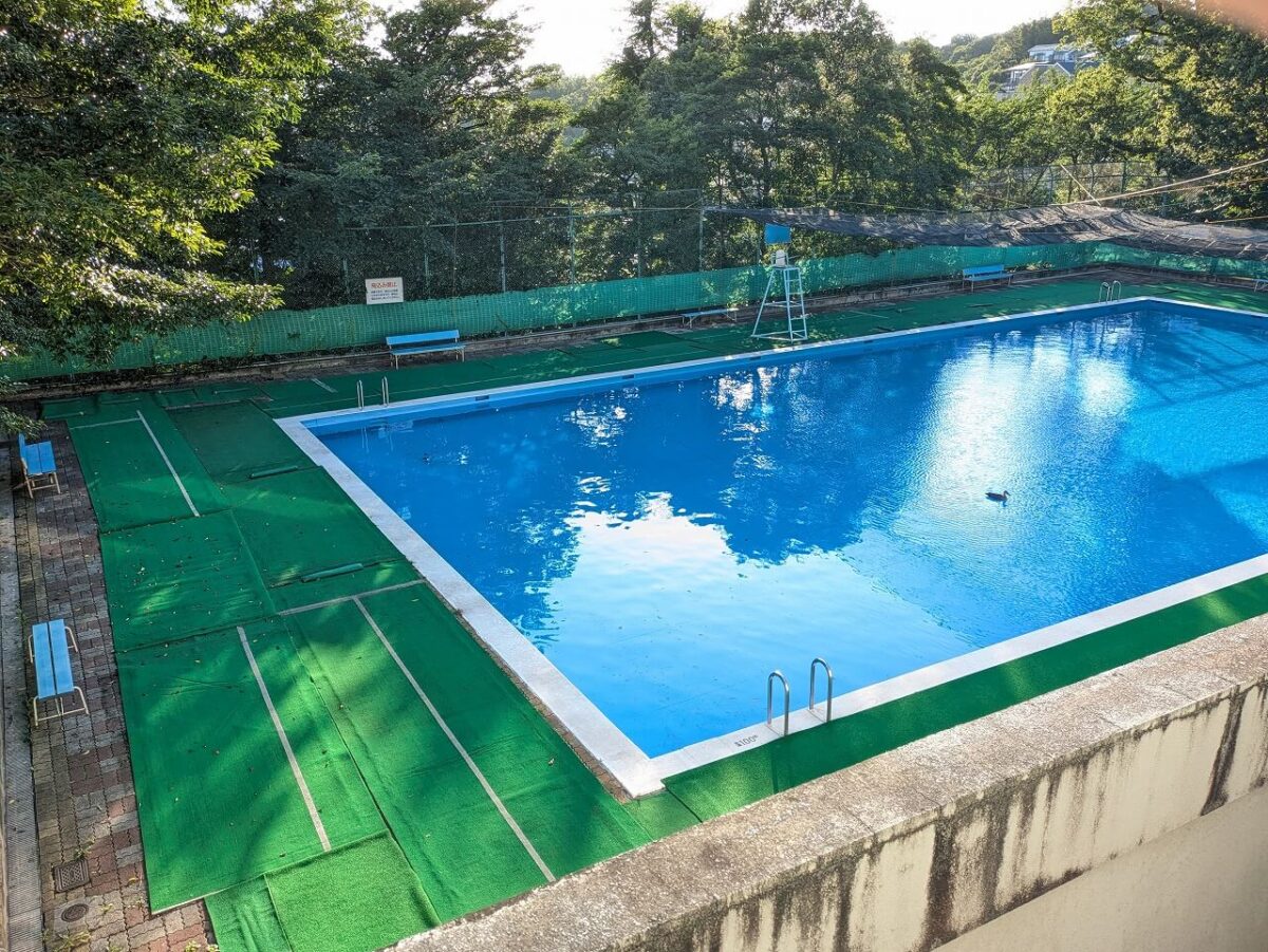 綱島公園プール2026年オープン直前の現地