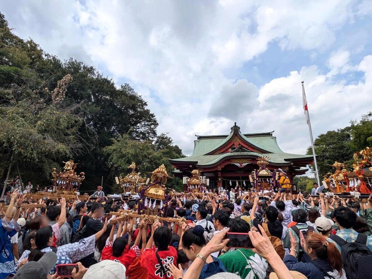 綱島諏訪神社例大祭2025年宮入